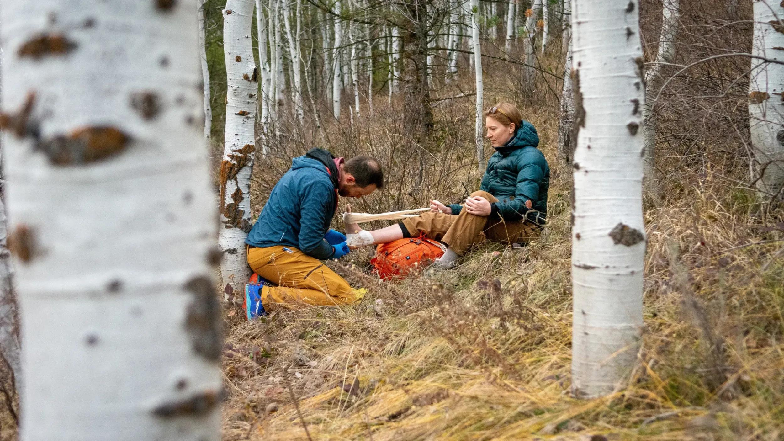 lisa_bauer_001.jpg__2880x1800_q70_crop_subsampling-2_upscale-scaled-1