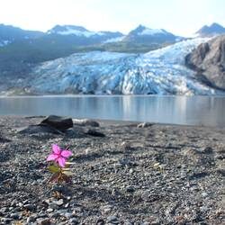 brett-carroll-tvb-5-edit